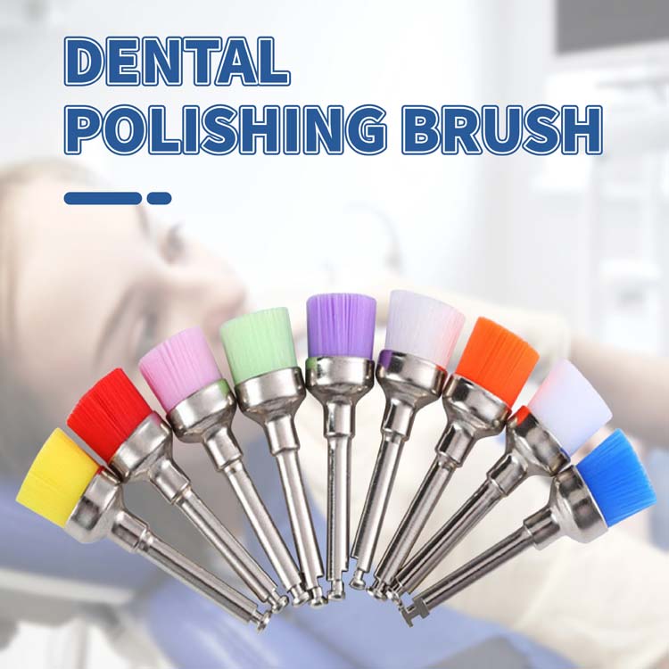 dental polishing brush