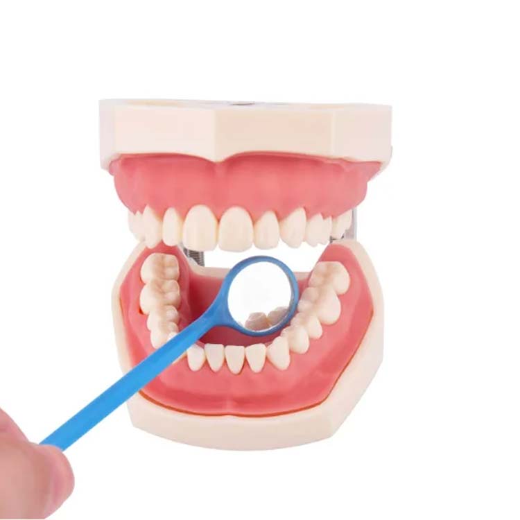 disposable dental mouth oral mirror